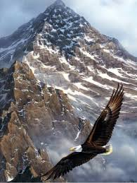 Jesse Milton Womack Obituary