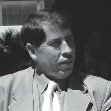 Pulso Regional by josvicsa