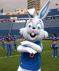 Este esquipo se fundó en 1945 ah obtenido 5 campeonatos a lo largo de su historia club de futbol monterrey. Fotos Conoce Las Mascotas De Los Clubes De La Liga Mx