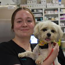 Support Staff — Kemptville Animal Hospital