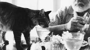 The Legacy of Hemingway's Six-Toed Cats | The Marker Key West