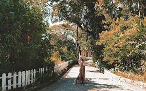 Menerima kritik dan saran demi perbaikan kebun binatang surabaya. 5 Tempat Wisata Di Surabaya Terpopuler Nomor 4 Ada Hutan Bambu Di Tengah Kota