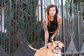 To get that answer you have to read this entire … How A Cbd Treat Line Changed The Life Of Tater Tot The Celeb Dog From Pit Bull And Parolees