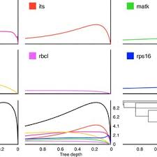 Image result for Asterochaete angustissima