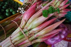 Selain beli dari nursery boleh juga ambil bunga kantan yang dah matang. Ini Cara Tanam Kantan Untuk Dapatkan Hasil Bunga Yang Banyak Impiana