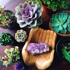 5 Ways To Use Crystals For Good Feng Shui In Your Home Succulents Feng Shui Crystals Plants