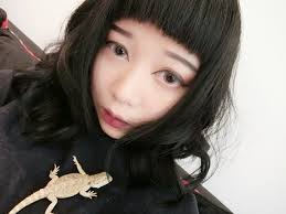 Jub-Jub The Bearded Dragon. Finally the project I've been working…