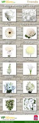 A white carnation bouquet with its divine beauty is perfect for mother's day celebration and wedding ceremonies. White Wedding Flowers Trends Wedding Flower Trends White Wedding Flowers Wedding Flowers