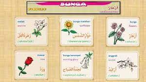 Warna berbeda dari satu jenis bunga saja maknanya berbeda juga. Belajar 3 Bahasa Arab Inggris Indonesia Tema Nama Nama Bunga Dan Sayuran Youtube