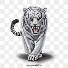 576pixels x 1024pixels size : Animal White Tiger Cat Background Cute Animal Drawings