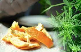 It is a pure molecular cbd derived from citrus peels in a proprietary … Orange Peel Cbd Japan S Hiro International Details Orange Peel Derived Cbd Oil