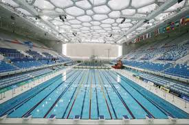 Olympic Swimming Pool Pool Swimming Olympic Swimming Open Water Swimming Competitive Swimming