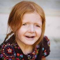 Averie Williams Obituary