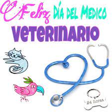 Hoy se celebra el día del veterinario en nuestro país ya que el 6 iniciaron los estudios de veterinaria en el instituto agronómico veterinario de santa catalina en la provincia de buenos aires. Dia Del Medico Veterinario Dibujo