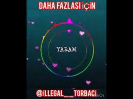 seksendort sesim cikmaz anla halimden youtube ses youtube instagram