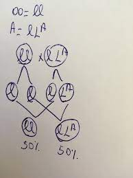 Pentru ca este o combinatie a doua grupe diferite, a si b, caracteristicile persoanelor ce poseda aceasta grupa sunt combinate. DacÄƒ TatÄƒl Are Grupa De Sange 0 Cu Rh Ul Negativ È™i Mama Are A2 Cu Rh Ul Pozitiv Care Este Grupa È™i Brainly Ro