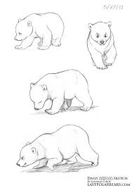 Bear Sketch Bear Art Animal Sketches