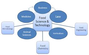 Food Science And Technology California State University