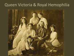 Oddly, no one knows how hemophilia entered victoria's family. Queen Victoria Royal Hemophilia Ppt Video Online Download