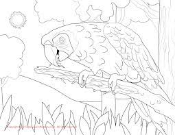 Macaw coloring page parrot coloring pages blue and yellow macaw. Scarlet Macaw