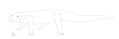Tiger Salamander Sketch Not For Base Use By Knob Gecko On Deviantart How to draw salamander (step by step drawing lessons for kids | types of reptiles) подробнее. tiger salamander sketch not for base