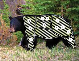 Black Bear Shot Placement Archery Pin On Black Bear Hunting