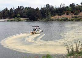 Canyon Lake To Receive Fifth Alum Treatment Sepro Corporation