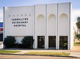 Anchor animal hospital dirba šiose srityse: Carrollton Veterinary Hospital New Orleans La 70118 Home