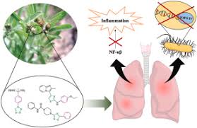 Image result for Gnaphalium polycaulon