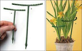 Potted Plant Supports Lee Valley Tools Plant Supports Garden Supplies Tall Plants