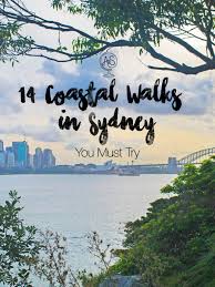 14 Super Scenic Coastal Walks In Sydney You Must Try Sydney Travel Australia Travel Sydney Beaches