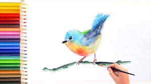 Watercolor For Beginner Paint A Bird