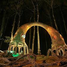 Maybe you would like to learn more about one of these? Huiz De Rico Hostel Yogyakarta Penginapan Dekat Dengan Wisata Menarik Hutan Pinus Pengger Yogyakarta