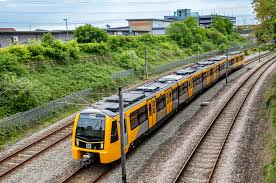 Image result for Dark Yellow Green 2021 Fleet