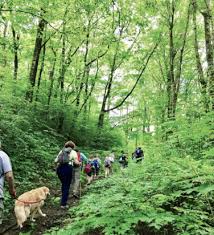 Don't forget to comment on how well the hike went. Discover The Trail Benton Mackaye Trail Association