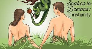 Image result for Dreams Of Lovers, Dances With Snakes, Girls With Red Hairs