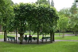 Jardin Botanique C Ville De Liege Urbanisme J P Ers Liege