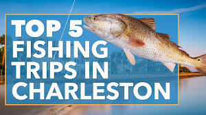 North carolina's varied fisheries have a mix of fishing regulations to match, with different licenses depending on where you fish. Charleston Fishing The Complete Guide