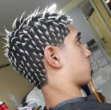 It is not only unsightly, but it is also unhealthy for your animal. Like A Skunk Had A Baby With A 90 S Boy Band Justfuckmyshitup