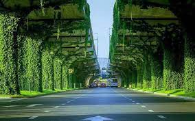 Integrating nature rehabilitation, youth development & local. A Green Corridor In Chengdu China Plus Culture Facebook