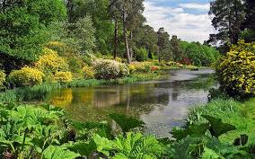 Leonardslee Gardens West Sussex Uk Lakeside View With Flowering Azaleas And Gunnera 12 Of 23 English Landscape Garden Lakeside View Famous Gardens
