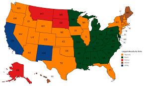 Largest Minority By U S State Vivid Maps Geography Map Map Globe Los Angeles Map