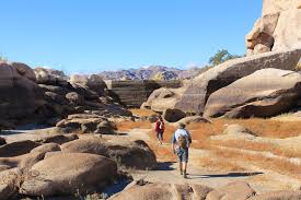 Barker Dam Trail Joshua Tree National Park Joshua Tree National Park National Parks Best Hikes