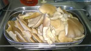 Let the mushrooms steam for about 3 to 5 minutes, depending on how large they are. Storage Options For Oyster Mushrooms Seasoned Advice