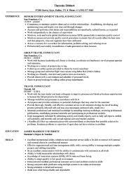 Professional consultant resume examples & guide for 2021. Resume Format Consulting Jobs