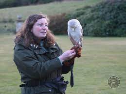 Barn owls will often nest in holes found in tree stumps, or outbuildings on farms or derelict land. Thinking Of Keeping A Captive Barn Owl The Barn Owl Trust