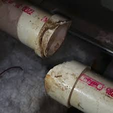 Using critter & pest defense as your pest control provider extends the warranty on any repairs * inspect home * determine the critter * determine the best trapping method * ensure you a long. Apopka Wildlife Removal Animal Control Services For Apopka Florida Pest Control Apopka Fl