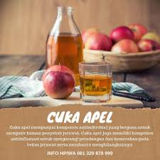 Penghilang Bekas Jerawat Jerawat Obat Jerawat Tips
