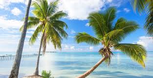 Landscape, sea, bay, nature, coast, island, lagoon, cape, caribbean, bora bora, terrain, archipelago, islet, landform, geographical feature, aerial photography, atoll, inlet. 2852555 Nature Landscape French Polynesia Summer Beach Dock Palm Trees Sea Tropical Bora Bora Clouds Daylight Wallpaper Cool Wallpapers For Me