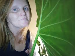 What type of plant is this?